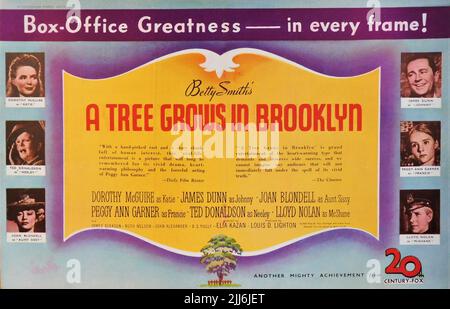 DOROTHY McGuire TED DONALDSON JOAN BLONDELL JAMES DUNN PEGGY ANN GARNER and LLOYD NOLAN in A TREE GROWS IN BROOKLYN 1945 director ELIA KAZAN from the novel by Betty Smith music Alfred Newman producer Louis D. Lighton Twentieth Century Fox Stock Photo