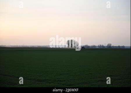 A mesmerizing view of a golden sunset over the field Stock Photo