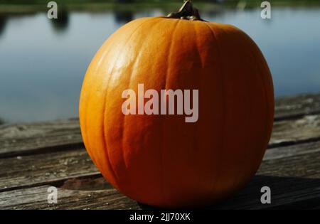 Four spherical orange-colored pumpkin, presented decoratively on a wooden plank, in the blurred background the water surface of a lake Stock Photo