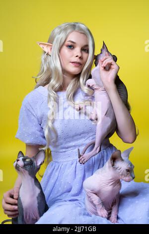 Young woman cosplay elf in blue dress sits on yellow background with three Sphinx kittens, looks at camera. Elf in blue dress, with blonde curly hair Stock Photo