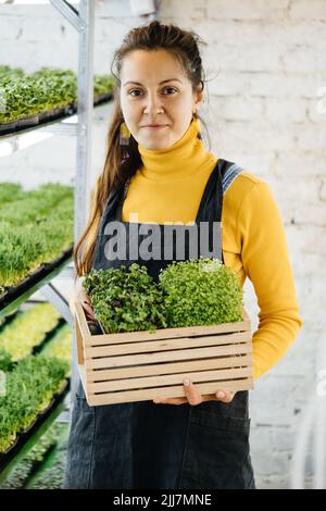 Woman holding box with microgreen, Small business indoor vertical farm. Close-up of healthy vegetarian vitamin fresh food. Microgreens growing Stock Photo