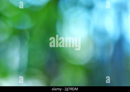 Nature green bokeh light blur background, Green leaves blur Stock Photo