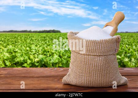 white sugar in burlap sack on table with green field on the background Stock Photo