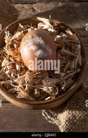 Egg background. Brown eggs in a tray. Protein food. Eco organic. Minimalism concept. Chicken eggs in box. Nest, wooden background. Chicken feather. Stock Photo