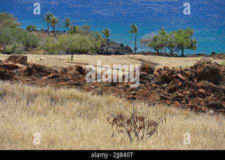 The Lapakahi State Historical Park along the picturesque coastline, north of Kawaihae HI Stock Photo