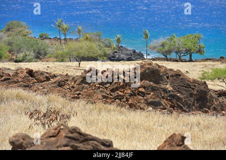 The Lapakahi State Historical Park along the picturesque coastline, north of Kawaihae HI Stock Photo