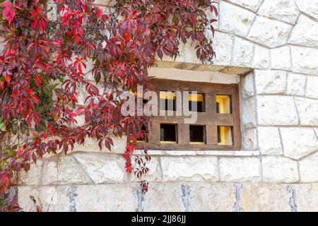 Ancient building window with wooden lattice. Stone wall braided with curly stems of girlish grapes. Autumn background Stock Photo