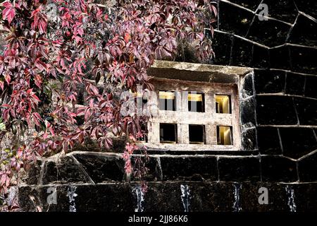 Artistic image processing created from stone wall photo with window and curly stems of girlish grapes Stock Photo