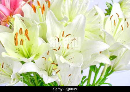 Bouquet of pink and white lilies,close up Stock Photo