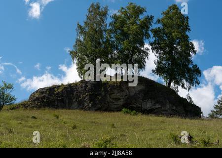 Drei spannende Bäume auf steinigem Fels Stock Photo