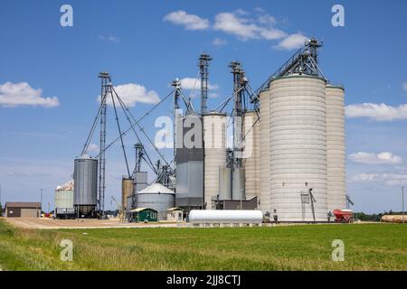 Large Agriculture Concrete Tower Grain Storage Silos In Bruce County, Ontario Canada Stock Photo