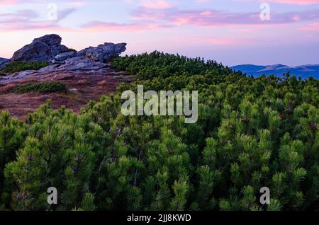Colorful sunset on the mountain top. Amazing scenery of the Carpathian mountains Stock Photo