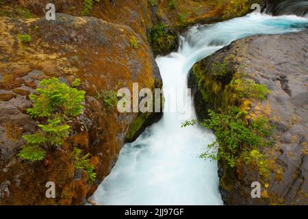 Muddy River along Lava Canyon Trail, Mt St Helens National Volcanic Monument, Washington Stock Photo