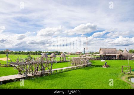 Ayutthaya Thailand 6th Jun 2022: the path and view of Rak Na Ayutthaya in Rice field. A very beautiful yet relax place. Stock Photo