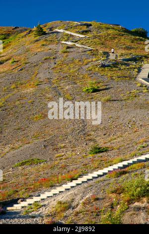 Windy Ridge at Mt St Helens NM in WA Stock Photo - Alamy