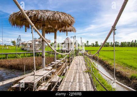 Ayutthaya Thailand 6th Jun 2022: the path and view of Rak Na Ayutthaya in Rice field. A very beautiful yet relax place. Stock Photo