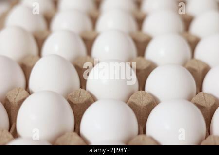 Close Up of raw chicken eggs in paper egg tray. Group of Fresh white Eggs in a cardboard cassette. Organic food from nature good for health Stock Photo