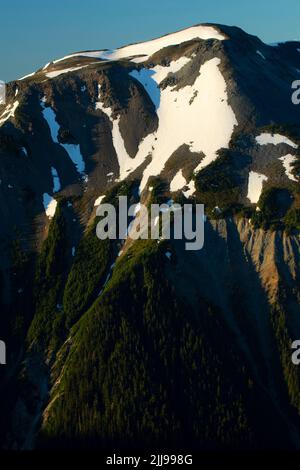 Goat Island Mountain from Sourdough Ridge Trail, Mt Rainier National Park, Washington Stock Photo