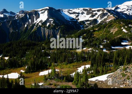 Goat Island Mountain from Sourdough Ridge Trail, Mt Rainier National Park, Washington Stock Photo