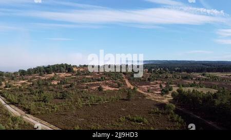 A view of a the blaze at Hankley Common in Surrey. Picture date: Sunday July 24, 2022. Stock Photo