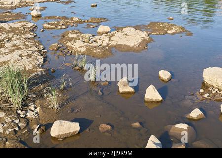 Exposed parched riverbed of the Elbe River in Magdeburg, Germany during severe drought in summer Stock Photo