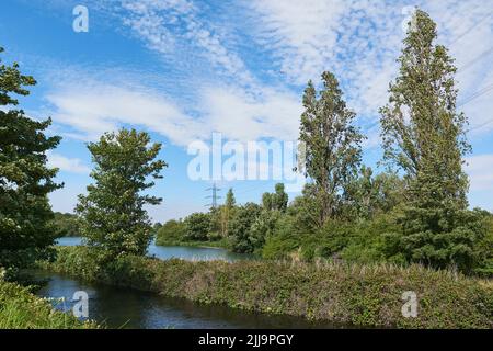 Walthamstow Wetlands nature reserve in summertime, North London, South East England Stock Photo