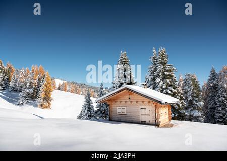 Picturesque landscape with small wooden log cabin on meadow Alpe di Siusi on sunrise time. Seiser Alm, Dolomites, Italy. Snowy hills with orange larch and Sassolungo and Langkofel mountains group Stock Photo