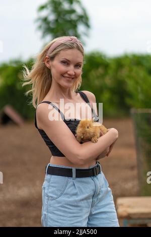 Rabbit girl holding bunny easter cute furry friendship attractive pet, for hands woman for pretty for farm domestic, outdoor adorable. Ears face, Stock Photo