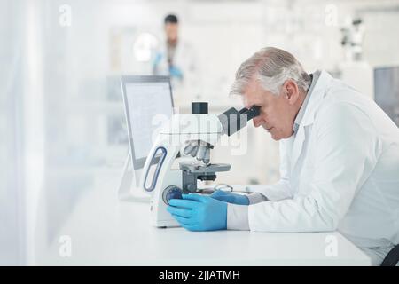 What a fascinating occurrence. a mature scientist using a microscope in a lab. Stock Photo