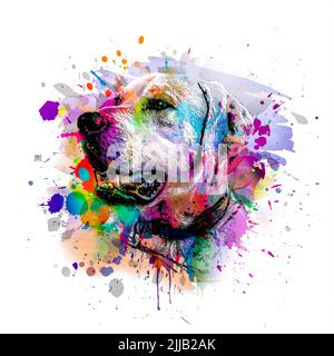 dog head with creative colorful abstract elements on white background color art Stock Photo