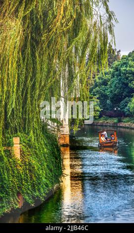 Green hotsell willow china