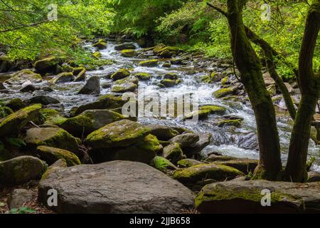 Way to Watersmeet, Lynmouth, Devon Stock Photo