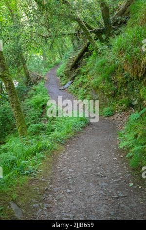 Way to Watersmeet, Lynmouth, Devon Stock Photo