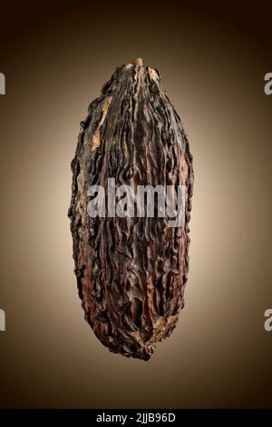 Cocoa pod, closeup on brown background. Stock Photo