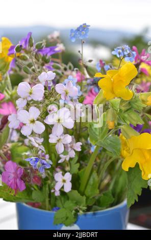 Vase with different wildflowers in many different colors Stock Photo