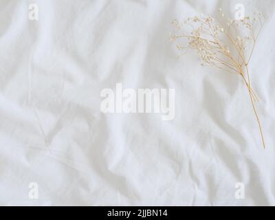 Aesthetic light background with copy space for cosmetic, beauty, fashion and text quote. White cotton sheet on bed with folds and shadows and dried flower. Can use as social media template or canva Stock Photo
