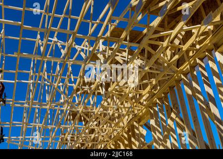 During the installation the framing of the roof trusses and the nailing of the wood beams on the house under the building, Stock Photo