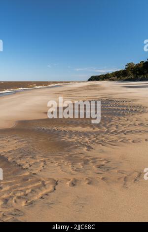 Patterns formed by the water on the sands of Kiyu beach, with the trees on the ravines of the coast, in San Jose, Uruguay Stock Photo