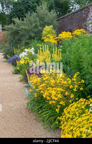 Herbaceous border at the edge of the paradise garden at RHS Bridgewater, Worsley, Greater Manchester, England. Stock Photo