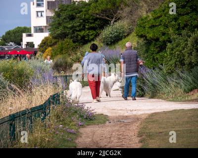 La Rochelle, France June 2022. A man and a woman walk with big white dogs on a sunny day in La Rochelle, France Stock Photo