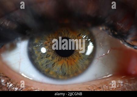 Detail of human eye with gray green iris Stock Photo