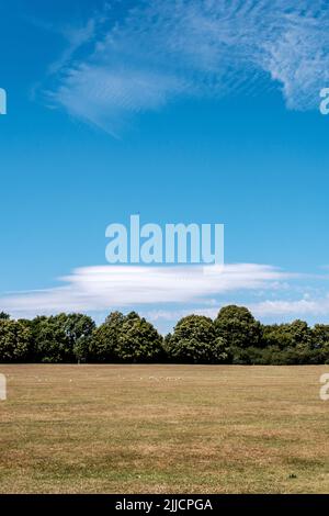 Dorking Surrey Hills London UK, July 24 2022, Hot Weather Climate Change Dead Dry Grass And Green Trees Under A Blue Summer Sky Stock Photo