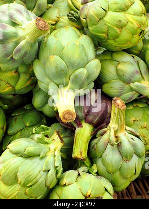 Fresh green organic rtichokes in stalll at open air Eugene Saturday Market Stock Photo