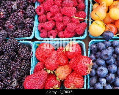 fresh organic blueberries blackberries raspberries cherries strawberries in baskets at eugene saturday market Stock Photo