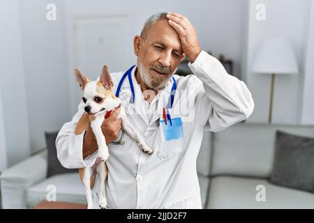 Mature veterinarian man checking dog health stressed and frustrated with hand on head, surprised and angry face Stock Photo