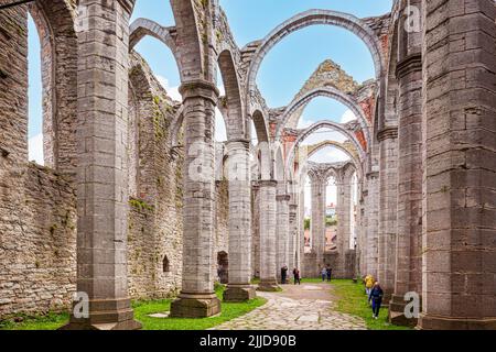 The ruins of St Katarina church in the Great Square (Stora Torget) in the medieval town of Visby on the island of Gotland in the Baltic Sea off Sweden Stock Photo
