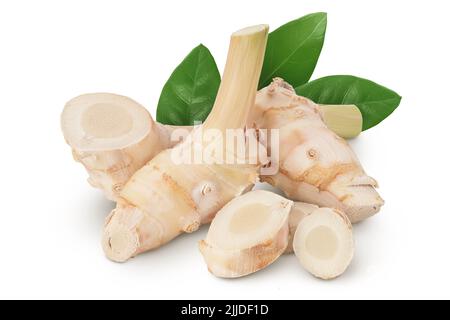 Fresh galangal root with slices isolated on white background with full depth of field. Stock Photo