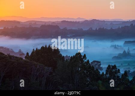 Early morning mist in the valley in the Silverdale area of New Zealand Stock Photo