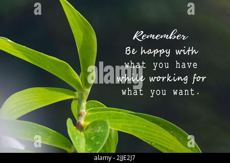 Motivational quote with fresh nature and blurred green leaf background - Remember be happy with what you have while working for what you want. Stock Photo