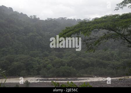 View of 'Rio Sucio' From Braulio Carrillo National Park Stock Photo